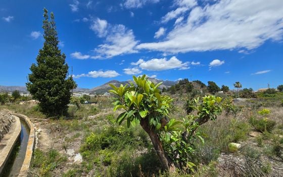  Plot in La Nucia- PX57502 - Photo - Small - 19