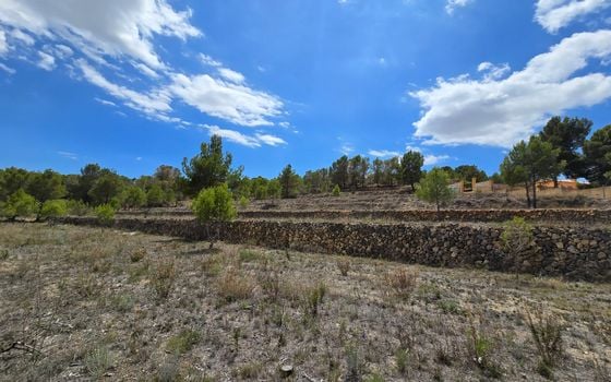  Plot in La Nucia- PX57502 - Photo - Small - 20