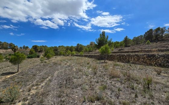  Plot in La Nucia- PX57502 - Photo - Small - 21