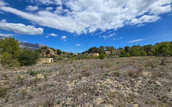  Plot in La Nucia- PX57502 - Photo - Small - 22