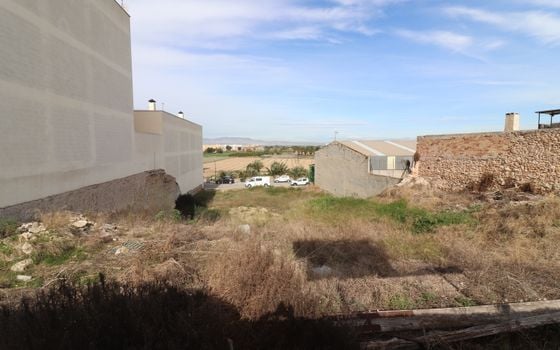 Parcela de  en Benijófar- VRE36809 - Foto - 5
