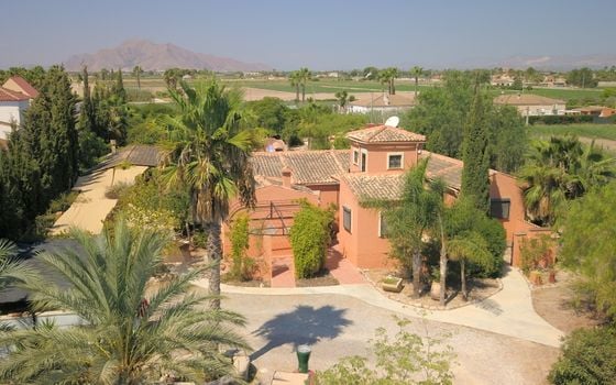7 bedroom Villa in Catral - VRE29927 - Photo - Small - 53