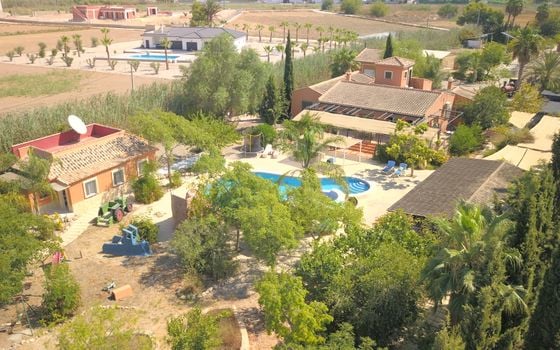 7 bedroom Villa in Catral - VRE29927 - Photo - Small - 50