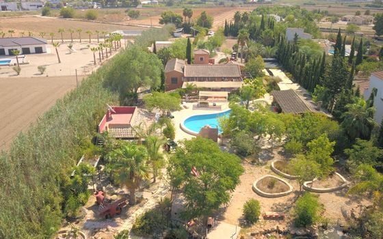 7 bedroom Villa in Catral - VRE29927 - Photo - Small - 49