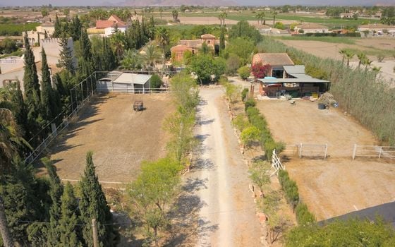 7 bedroom Villa in Catral - VRE29927 - Photo - Small - 52