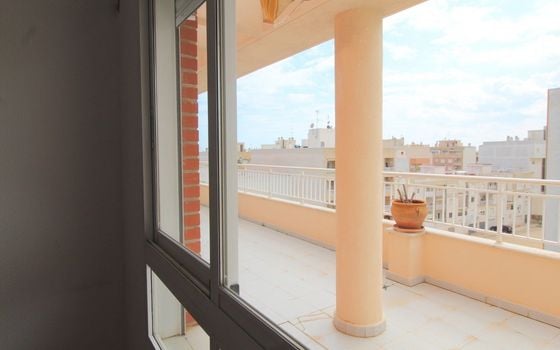 3 bedroom Apartment in Torrevieja - ALM29978 - Photo - Small - 18