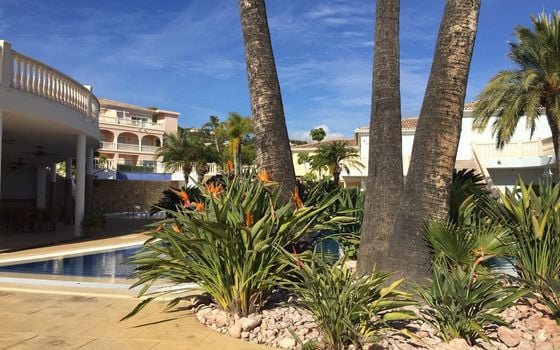 Apartament cu 1 dormitor în Benissa - CBP49760 - Imagini - Small - 22