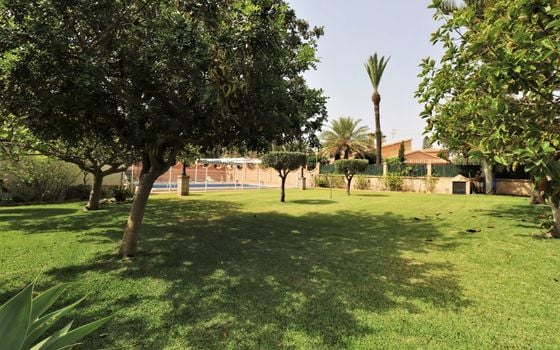8 bedroom Villa in Cabo Roig - PSA49844 - Photo - Small - 34