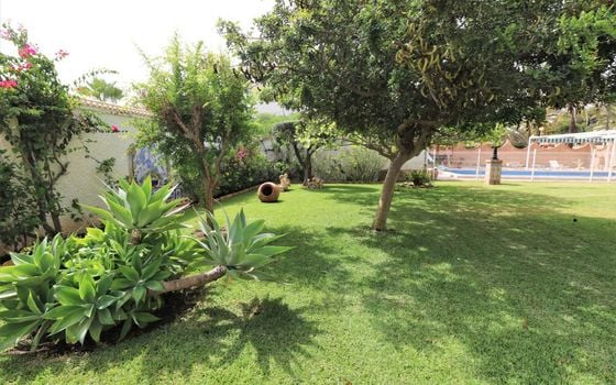 8 bedroom Villa in Cabo Roig - PSA49844 - Photo - Small - 37