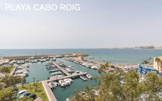 3 bedroom Villa in Playa Flamenca - RPF146197 - Photo - Small - 30