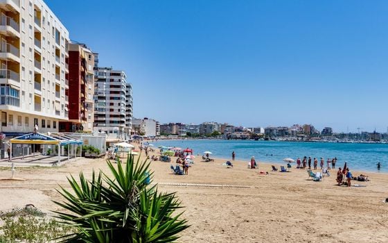 3 bedroom Apartment in Torrevieja - CYM149528 - Photo - Small - 32