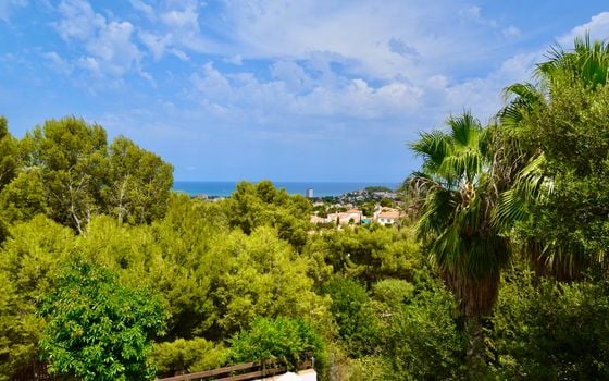 Villa de 6 chambres à Denia - APG37383 - Photo - Small - 27