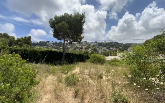  Grundstück in Xàbia- BES45333 - Foto - 3