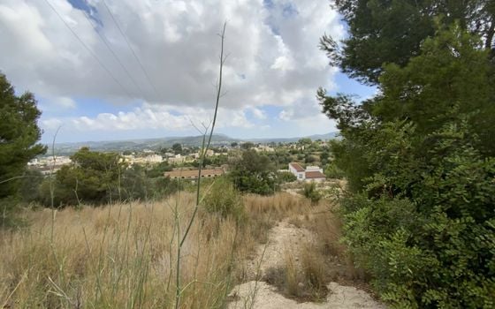  Grundstück in Xàbia- BES45333 - Foto - 4