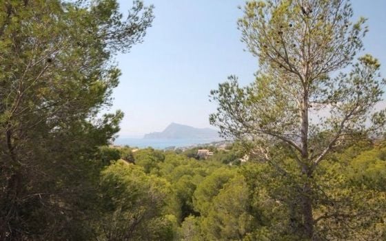 Parcela de  en Altea- BES45345 - Foto - 4
