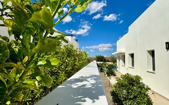 Villa de 3 chambres à Benijófar - BEV128905 - Photo - Small - 22