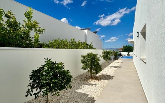 Villa de 3 chambres à Benijófar - BEV128905 - Photo - Small - 21