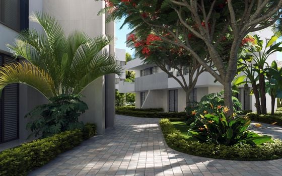 Penthouse de 3 chambres à Santa Rosalia - OI67946 - Photo - Small - 13