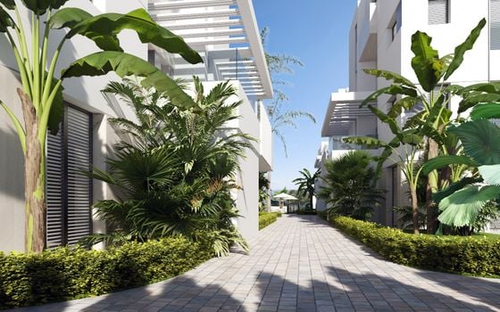 Penthouse de 3 chambres à Santa Rosalia - OI67946 - Photo - Small - 14