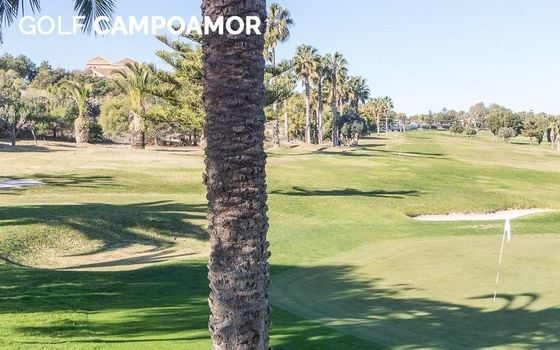 3 bedroom Villa in Playa Flamenca - RPF146197 - Photo - Small - 24