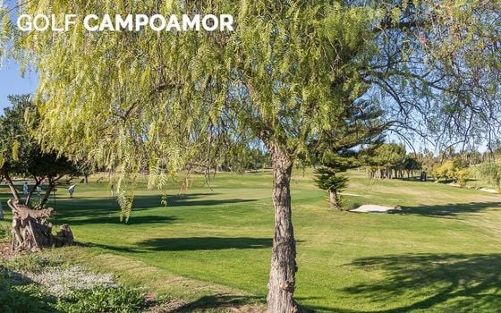 Apartament cu 3 dormitoare în Dehesa de Campoamor - RPF153021 - Imagini - Small - 24