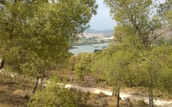 Villa de 4 chambres à Murcia - PRS49690 - Photo - Small - 18