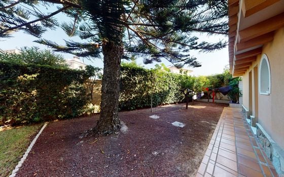 Willa w Cabo Roig, 8 sypialnie - TT49018 - Zdjęcie - Small - 44