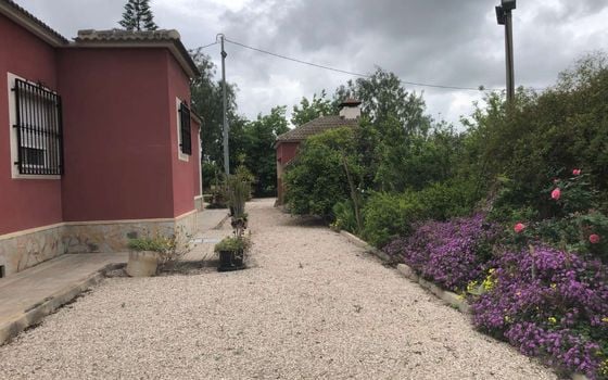 Vilă cu 4 dormitoare în Callosa De Segura - TT40198 - Imagini - Small - 19