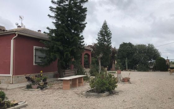 Vilă cu 4 dormitoare în Callosa De Segura - TT40198 - Imagini - Small - 20
