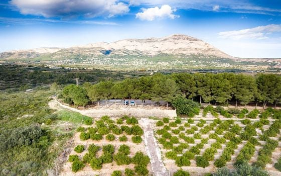 Villa de 4 chambres à Gata de Gorgos - MIG75438 - Photo - Small - 33