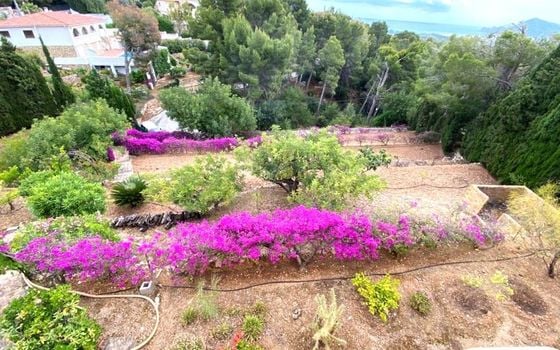 Villa de 7 chambres à Altea - CGN40530 - Photo - Small - 42