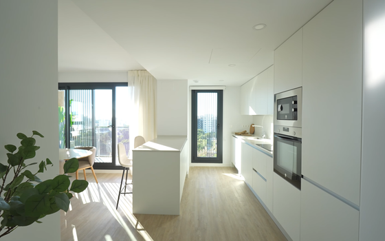 3 bedroom Penthouse in Alicante - AEH70945 - Photo - Small - 9