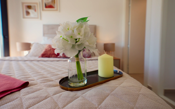 Bungalow de 3 habitaciones en Torre Pacheco - CLD74535 - Foto - Small - 21