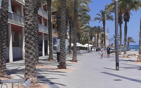 Villa de 4 chambres à Torrevieja - CBC20118 - Photo - Small - 18