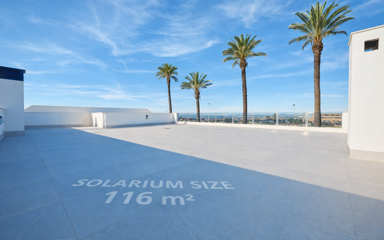 Villa de 3 chambres à Torrevieja - GM75217 - Photo - Small - 11