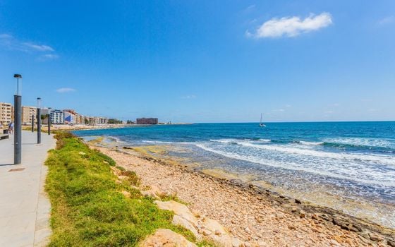 1 Schlafzimmer Appartement in Torrevieja - GVS137647 - Foto - Small - 23