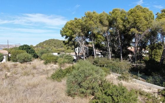  Grundstück in Xàbia- BES45395 - Foto - 2