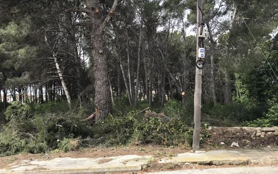  Grundstück in Xàbia- BES45407 - Foto - 3