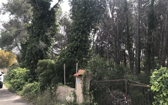  Grundstück in Xàbia- BES45407 - Foto - 4