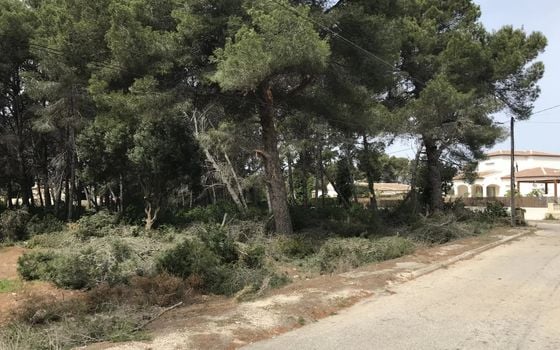  Grundstück in Xàbia- BES45407 - Foto - Small - 7