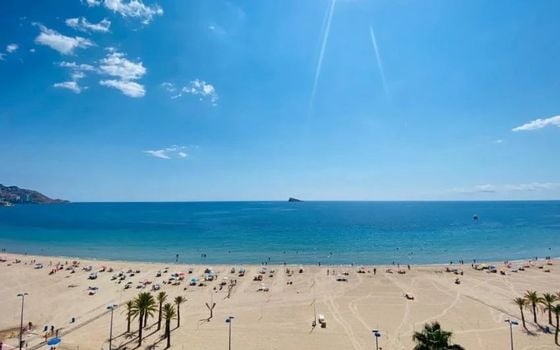 Appartement de 3 chambres à Benidorm - BES45410 - Photo - Small - 29
