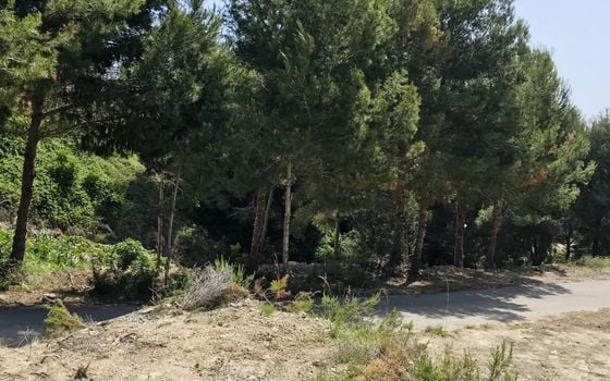  Grundstück in Xàbia- BES45411 - Foto - 4