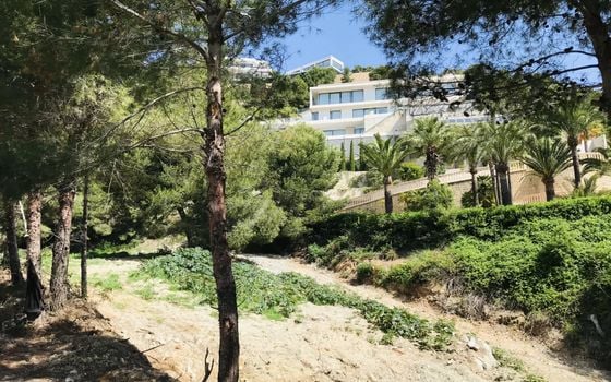  Grundstück in Xàbia- BES45411 - Foto - 3