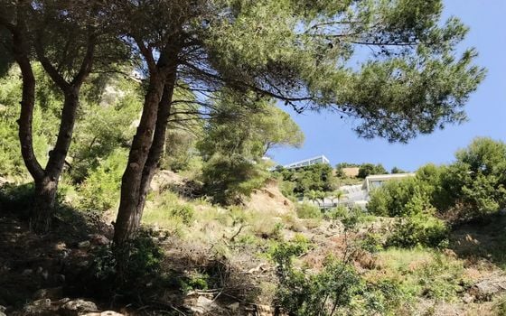  Grundstück in Xàbia- BES45411 - Foto - 1