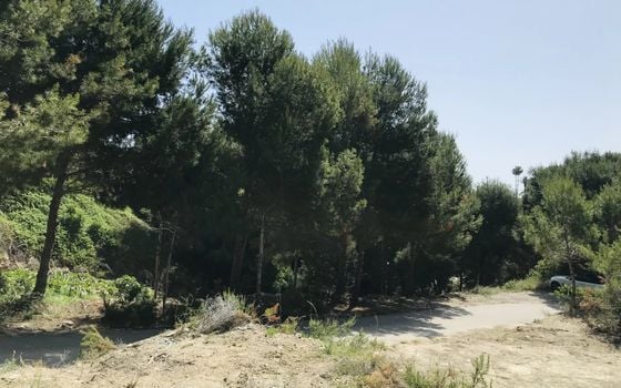  Grundstück in Xàbia- BES45411 - Foto - 5