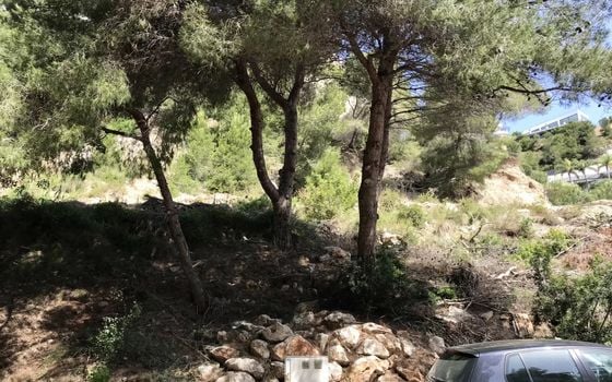  Grundstück in Xàbia- BES45411 - Foto - Small - 7