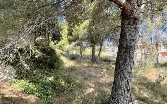  Grundstück in Xàbia- BES45413 - Foto - 5