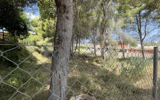  Grundstück in Xàbia- BES45413 - Foto - 3