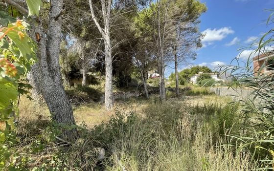  Grundstück in Xàbia- BES45413 - Foto - 1