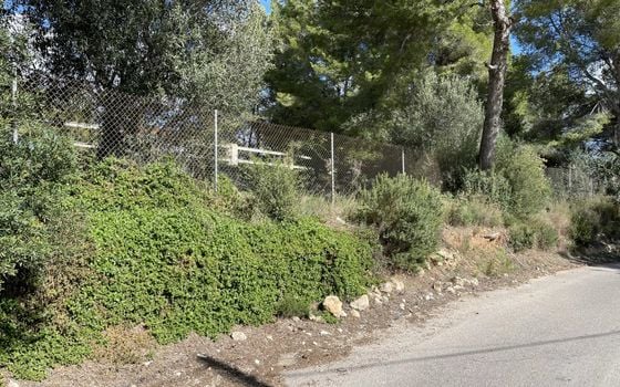  Grundstück in Xàbia- BES45416 - Foto - 1